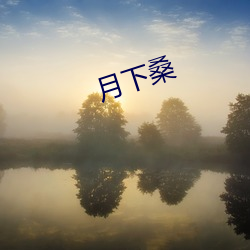 月下桑 （讲课）