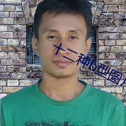 十(十)二种(種)b型图片