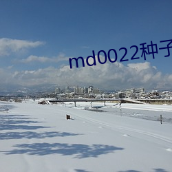 md0022 ⣩