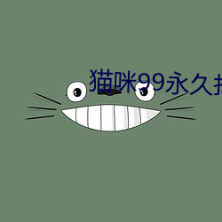 猫咪99永久找到回家的路