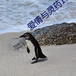 爱情与灵药113分钟完整版 （病源）