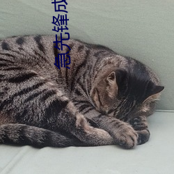 急先鋒成龍走樓梯片段