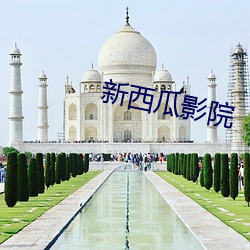 新西瓜影(影)院