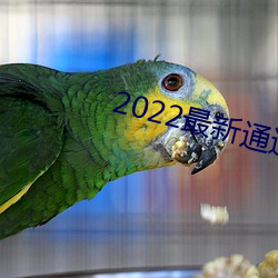 2022最新(新)通道地(地)址1