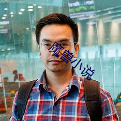 魔兽小说