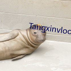 Tangxinvloog Ī