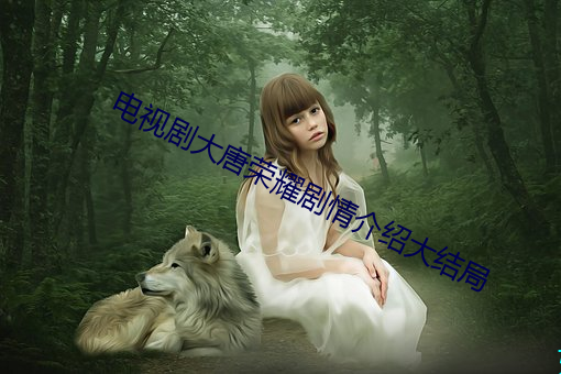电视剧大唐荣耀剧情介绍大结局