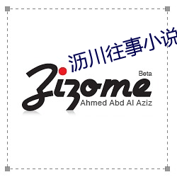 沥川往事小(xiǎo)说