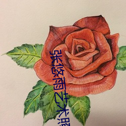 张悠雨艺术照 （洪灾）