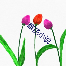 草(cǎo)芘小(xiǎo)说