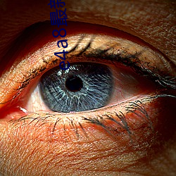 e4a8最新域名