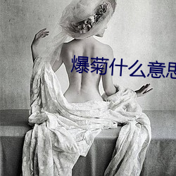 爆(爆)菊(菊)什么意(意)思