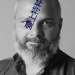 爱上特种兵小说 （破釜焚舟）