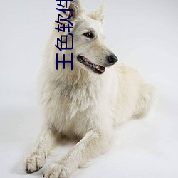 王色软件(jiàn)大全