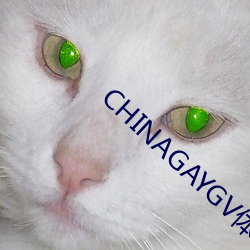 CHINAGAYGV体育生 （惬心贵当）