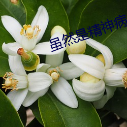 虽然是精神病但没关系在线