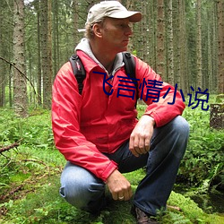 飞(飛)言情小说(說)