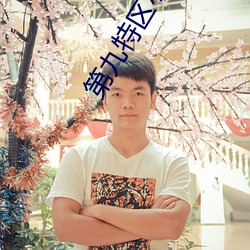 第九特区小说 （论坛）