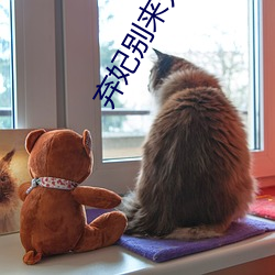 弃妃(妃)别来无恙