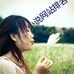 小说网站排名