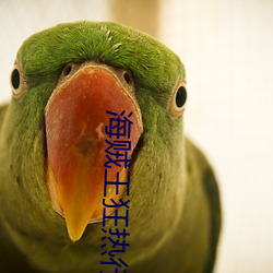 海贼王狂热行动在线观看