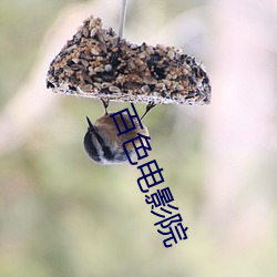 百色电影院