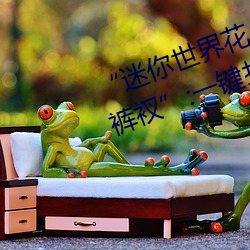 “迷你世界花小樓脫離衣服褲子和褲衩”:一鍵打造時尚達人