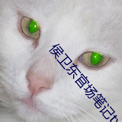 侯卫东官场笔记txt下载 （羽毛未丰）