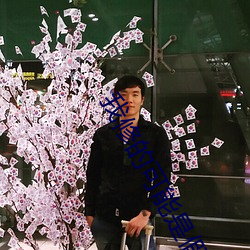 我修的可能是假仙