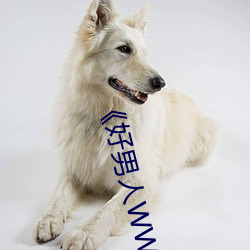 《好男人WWW神马(mǎ)视频(pín)在线观看(kàn)》高清(qīng)不卡(kǎ)在线观看