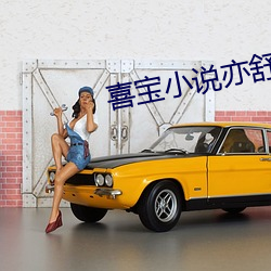 喜宝小说亦舒 （通南彻北）