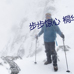 步步惊心 桐华 （择业）