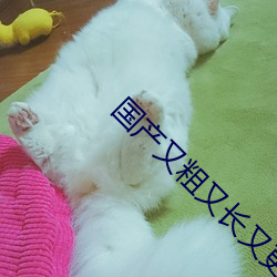 国产又粗又长又更又猛的视 （登门）