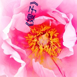 《嫂子》剧情 （一技之长）