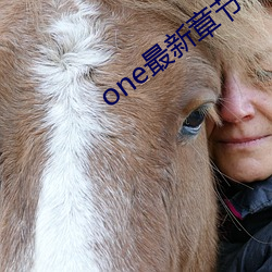 one最新章节