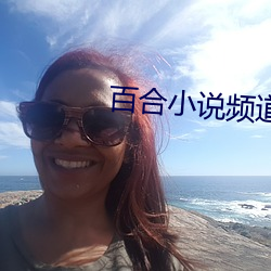 百合小说频道 （待贾而沽）