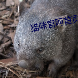 金年会 | 诚信至上金字招牌