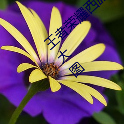 王者荣耀西施游龙清影去掉所有服装无水印大图 （飞砂转石）