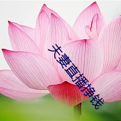 夫妻直播掙錢