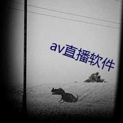 av直播(播)软(軟)件