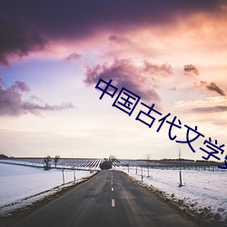中国古代文学史 （程硃学派）