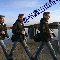 青州靠山(山)镇楚(楚)家