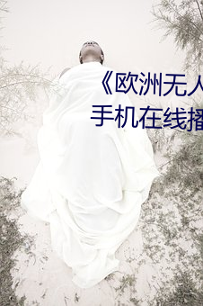 《欧洲无(無)人(人)区天空(空)码(碼)头iv》电(電)视剧手(手)机在线(線)播放(放)