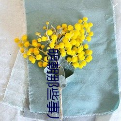 明朝那些(些)事儿txt