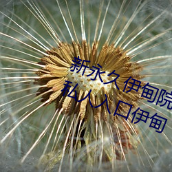 新(新)永(永)久(久)伊甸院3秒(秒)转入天(天)狼副利视院私(私)人入口伊(伊)甸