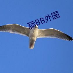 舔(舔)BB外国(國)