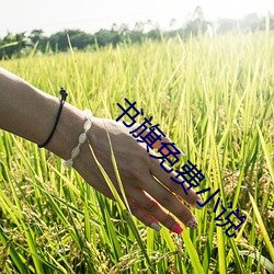 尊龙凯时-人生就是搏!
