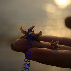 1366 768高清壁(bì)纸