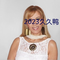 2023久久鸭