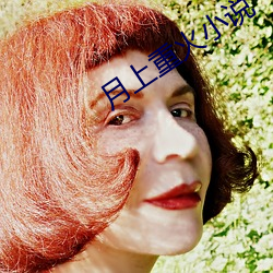月(yuè)上重火(huǒ)小说